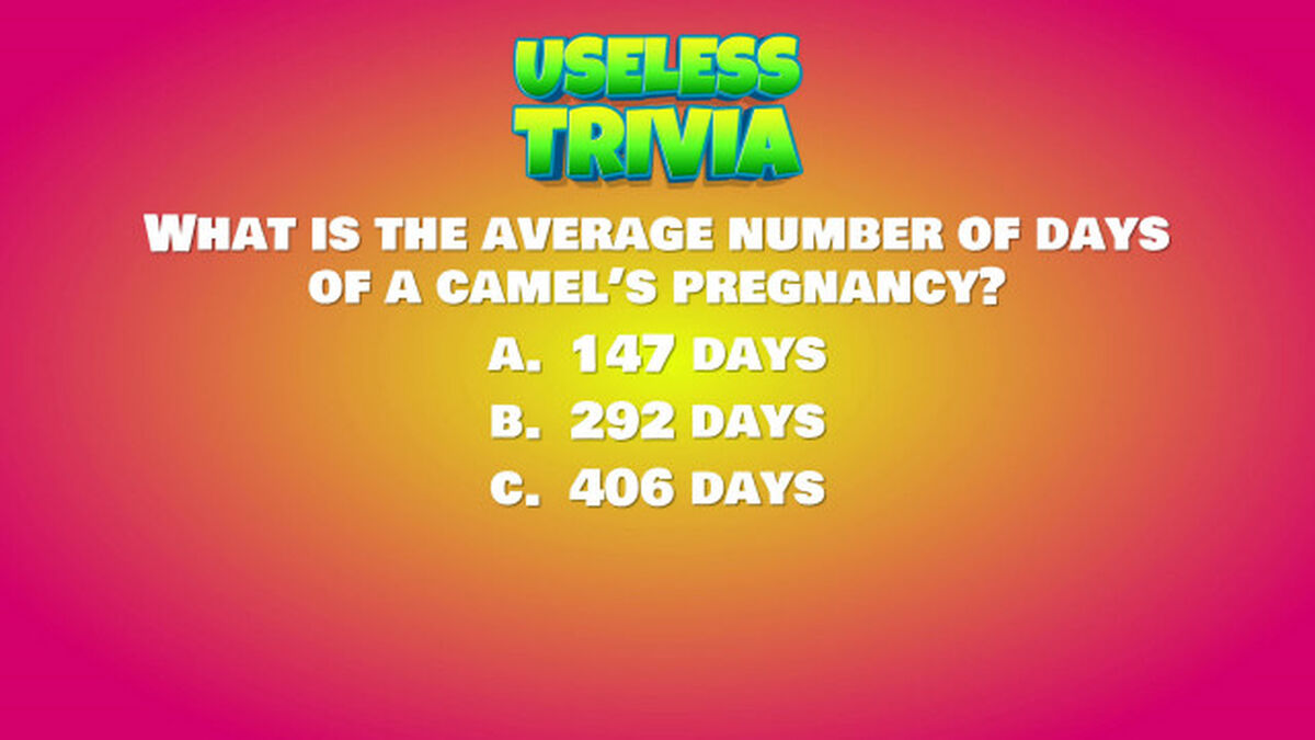 Useless Trivia image number null